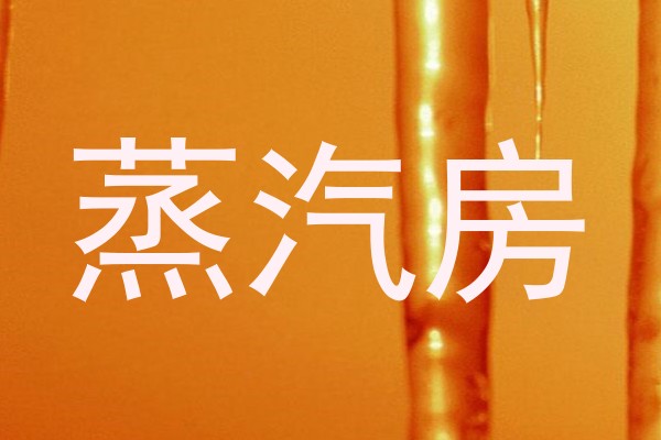 蒸汽房