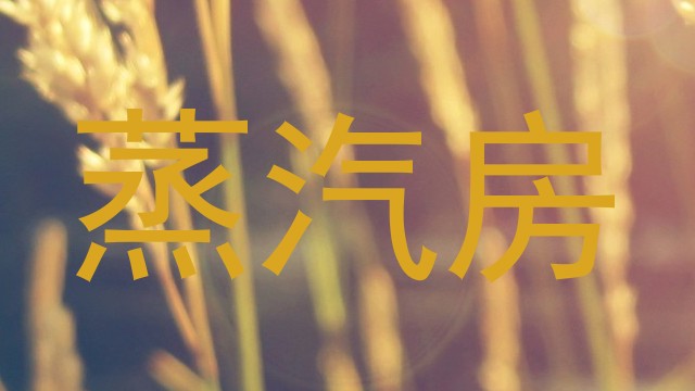 蒸汽房