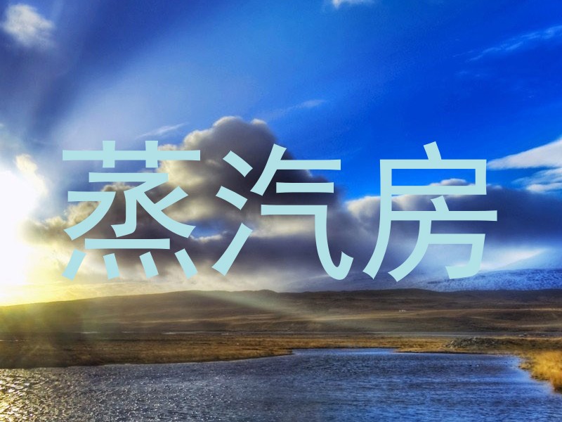 蒸汽房