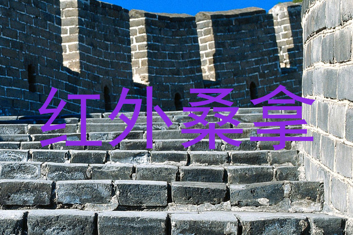 红外桑拿