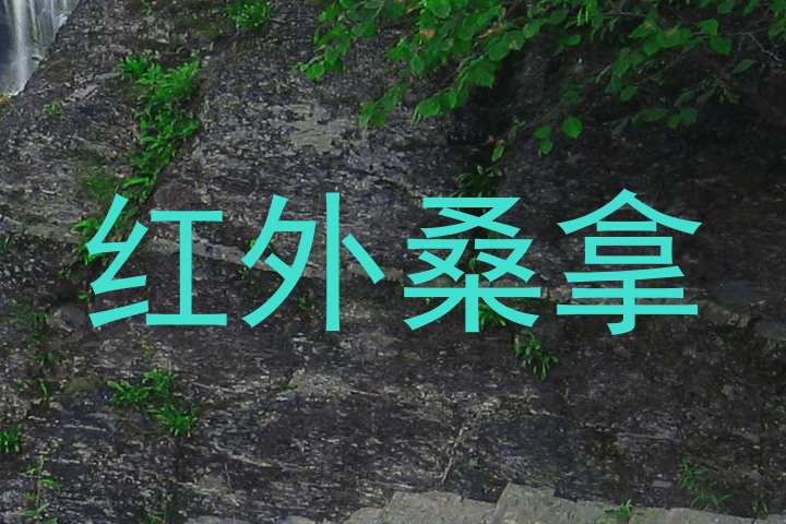 红外桑拿