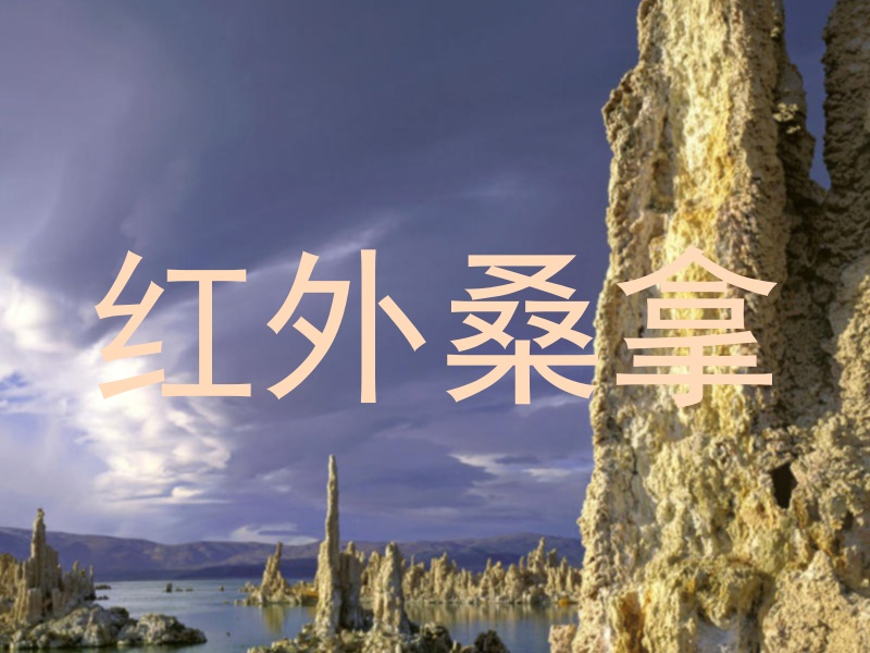 红外桑拿