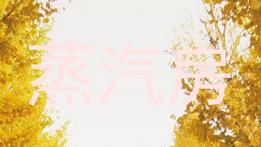 蒸汽房