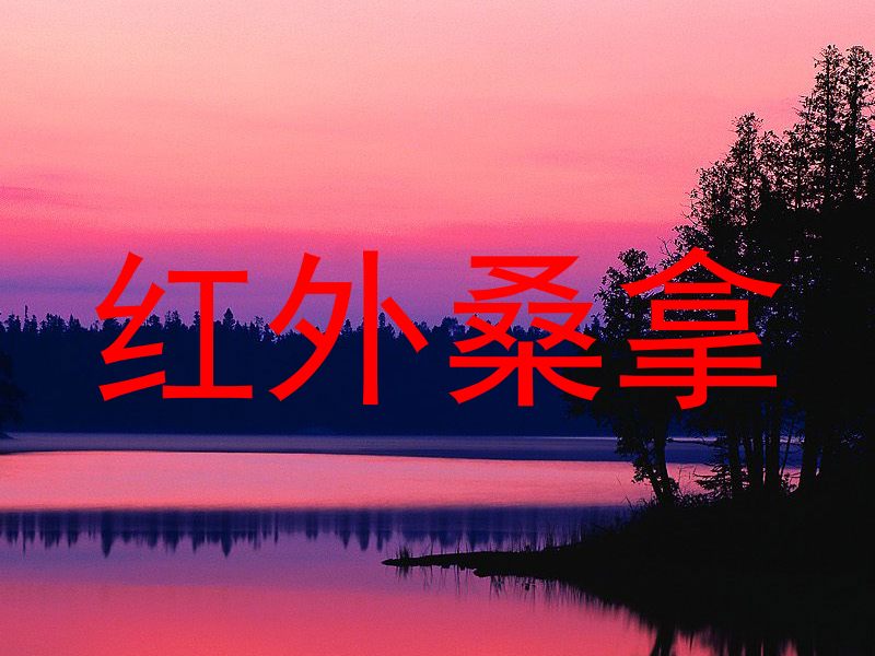 红外桑拿