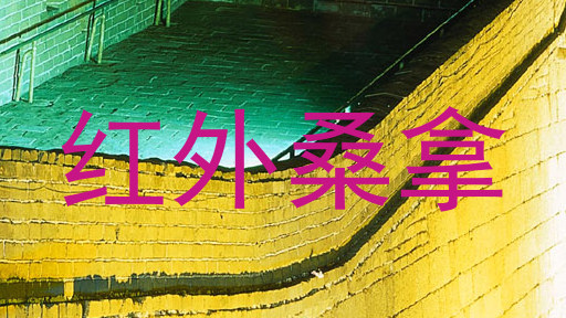 红外桑拿