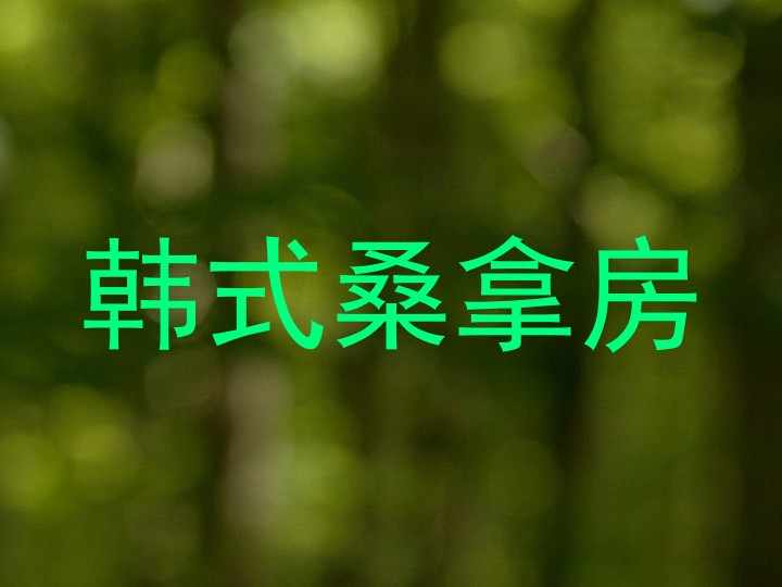 韩式桑拿房