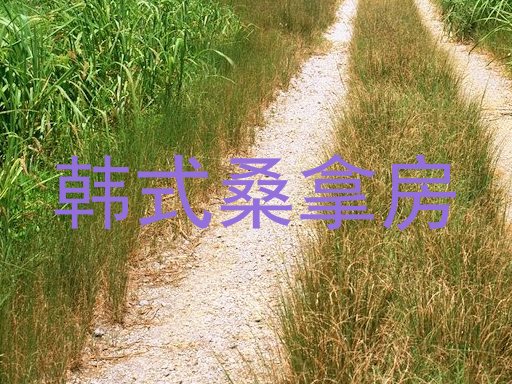 韩式桑拿房