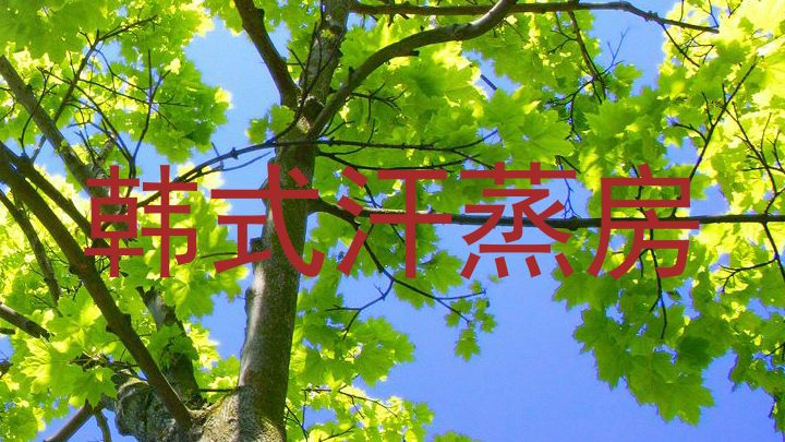 韩式汗蒸房