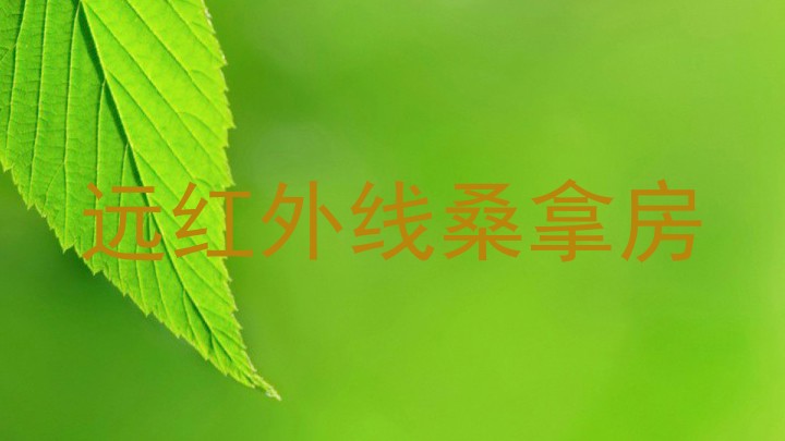 远红外线桑拿房