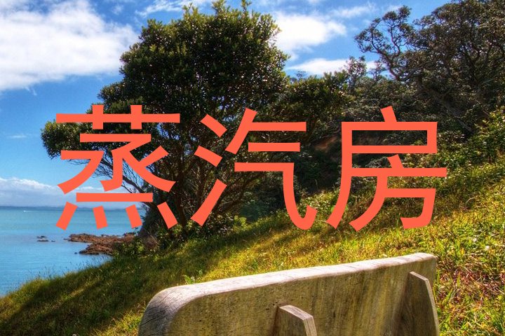 蒸汽房