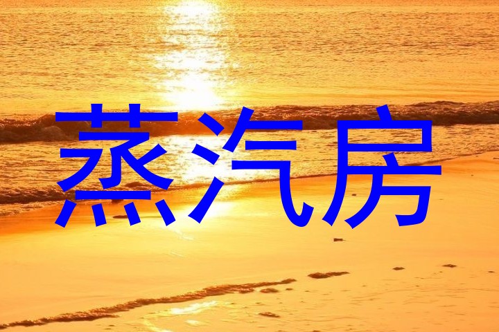 蒸汽房