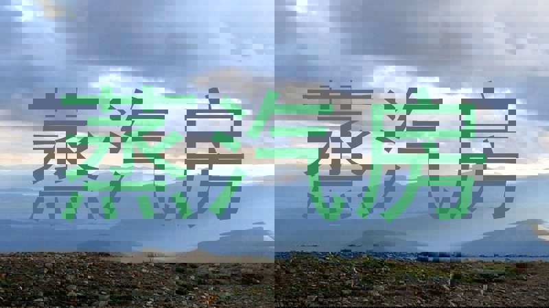 蒸汽房
