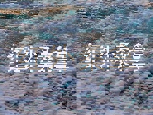 红外桑拿