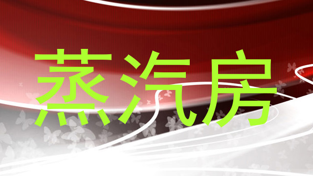 蒸汽房