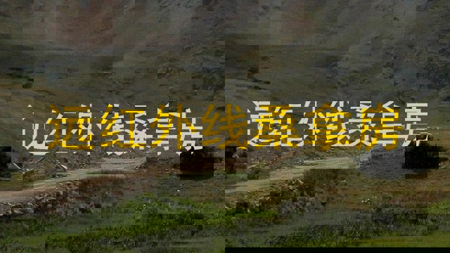远红外线桑拿房