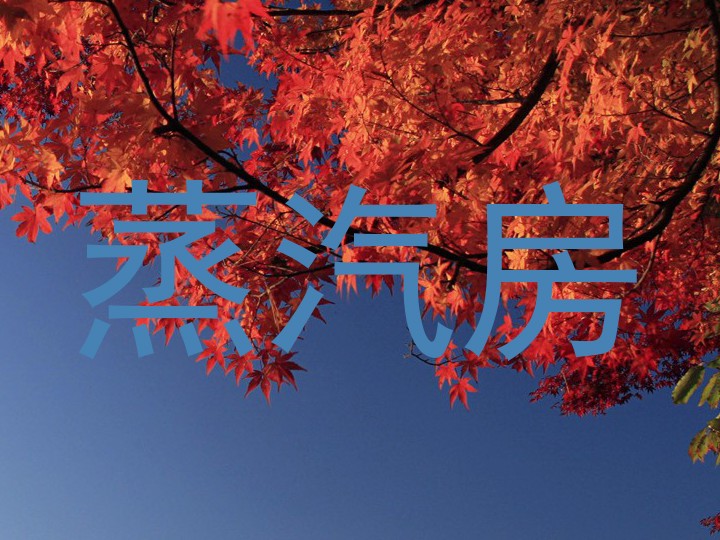 蒸汽房