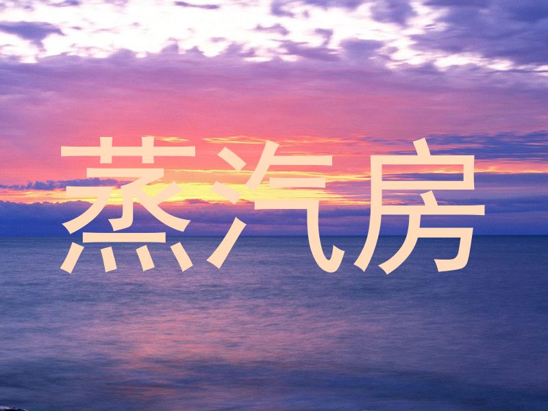 蒸汽房
