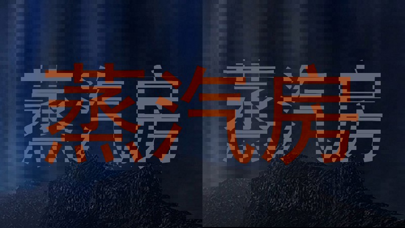 蒸汽房