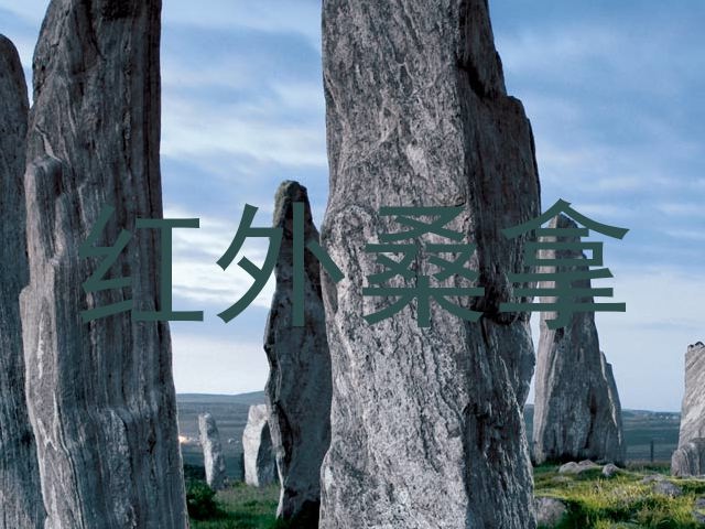 红外桑拿