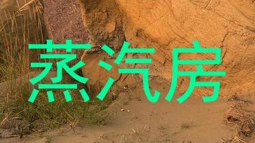 蒸汽房