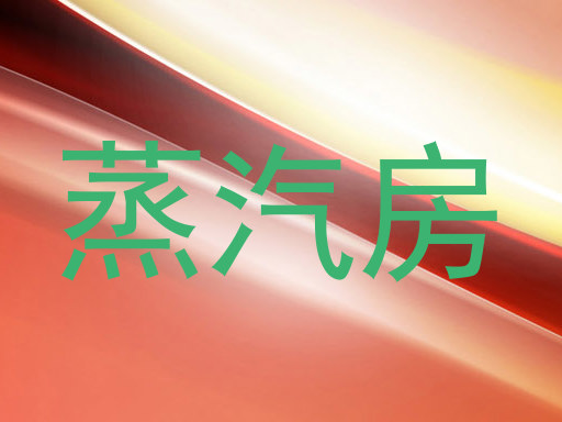 蒸汽房