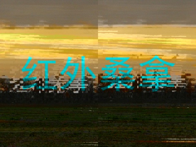 红外桑拿