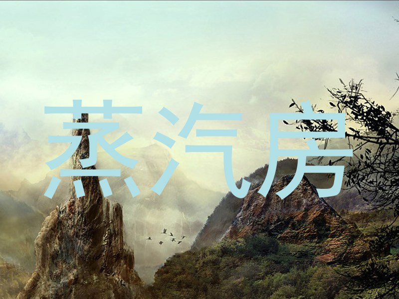 蒸汽房