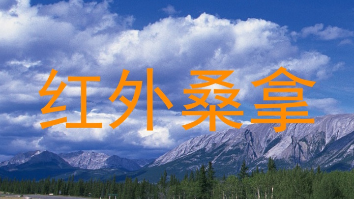 红外桑拿