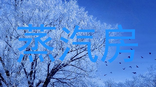 蒸汽房