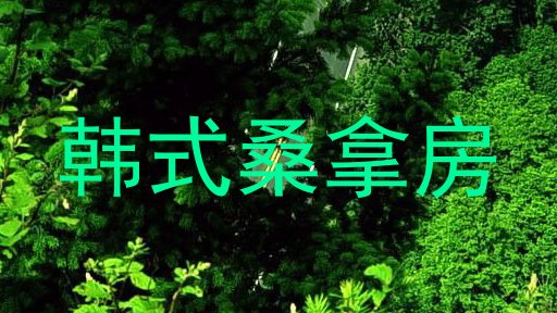 韩式桑拿房