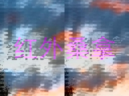 红外桑拿