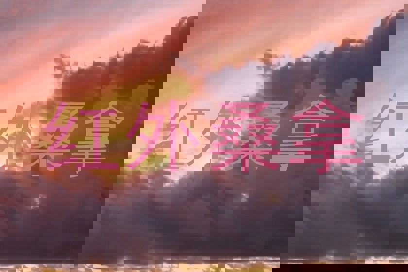 红外桑拿