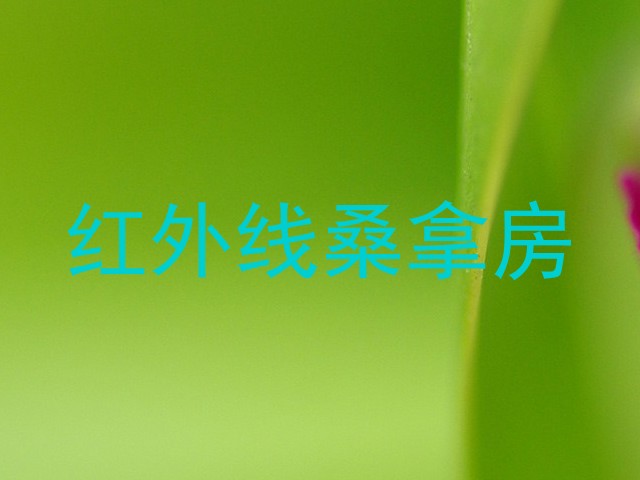 红外线桑拿房