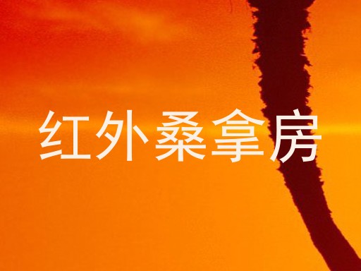 红外桑拿房