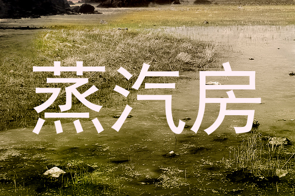 蒸汽房