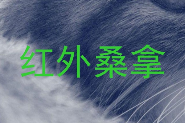 红外桑拿