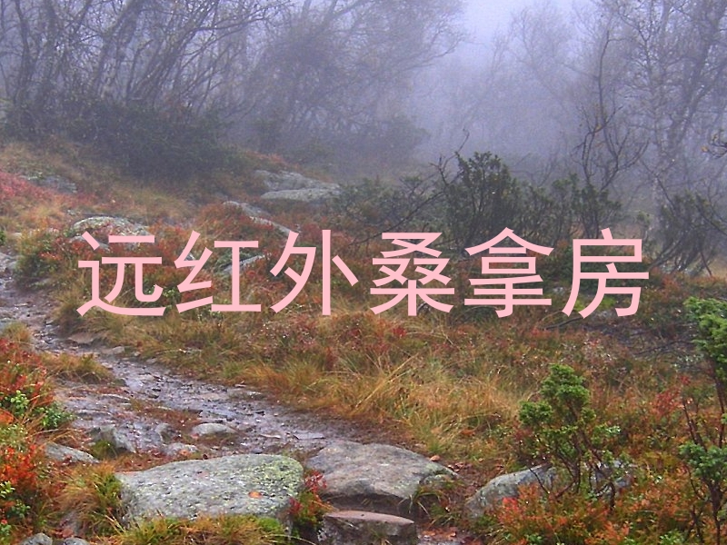 远红外桑拿房