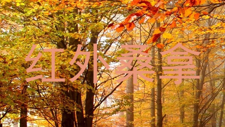 红外桑拿
