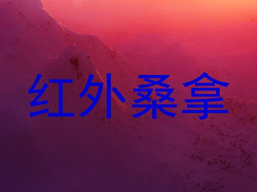 红外桑拿