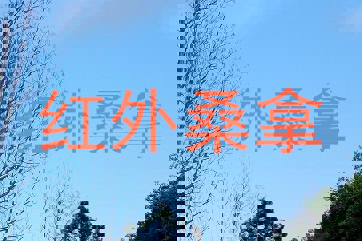 红外桑拿