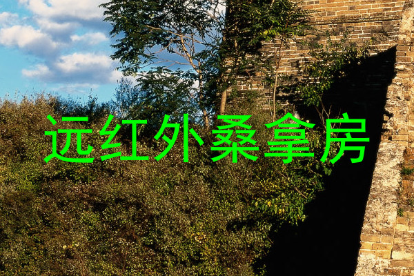 远红外桑拿房
