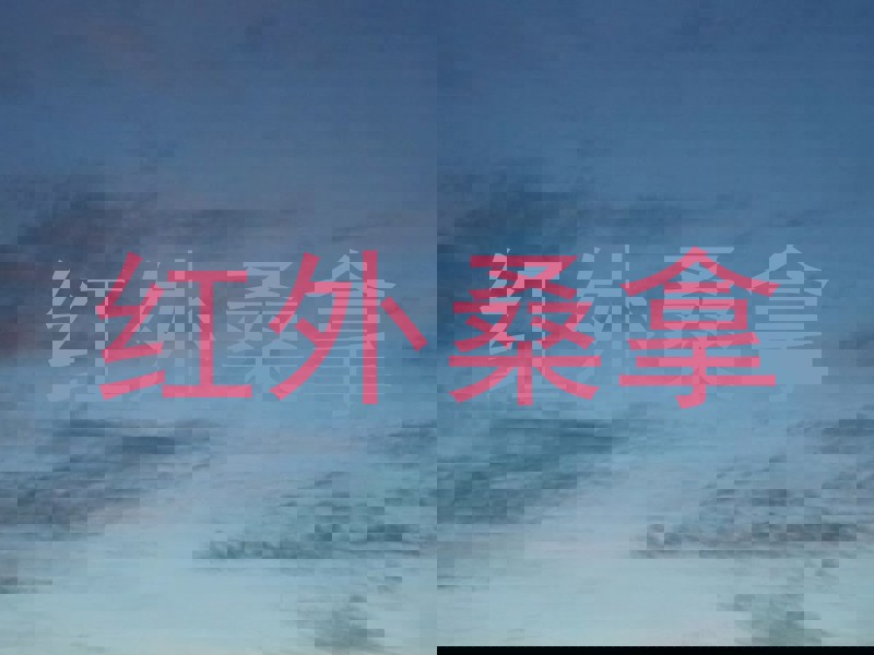 红外桑拿