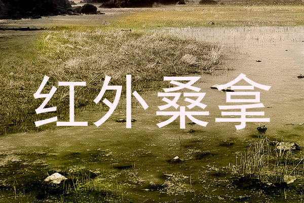 红外桑拿
