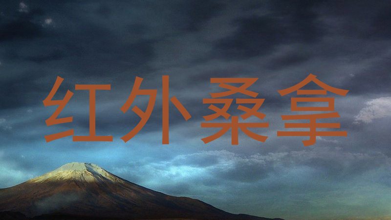 红外桑拿