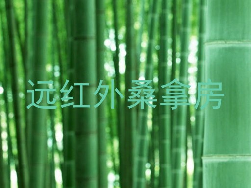 远红外桑拿房