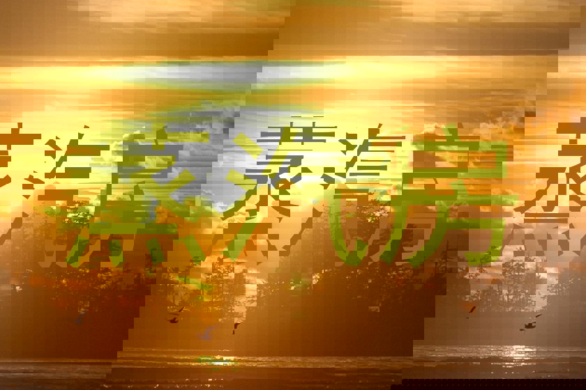 蒸汽房