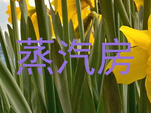 蒸汽房