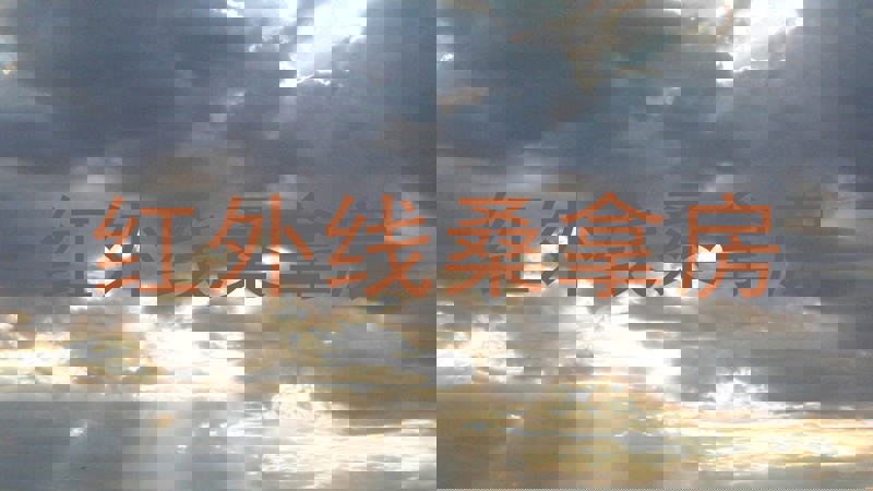 红外线桑拿房