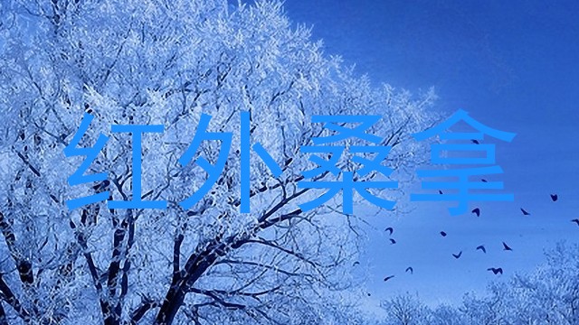 红外桑拿