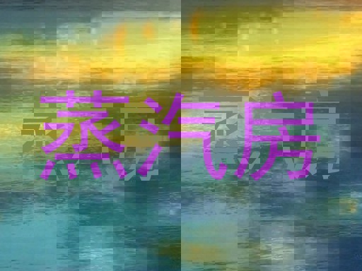 蒸汽房